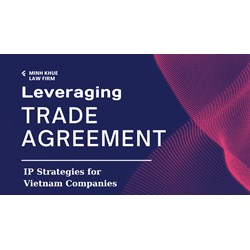 Leveraging Trade Agreements: IP Strategies for Vietnam Companies