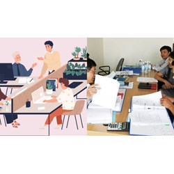 Quy định về việc bố trí và phân công công tác với viên chức biệt phái