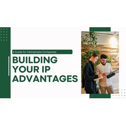 Building Your IP Advantage: A Guide for Vietnamese Companies