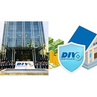 Nhà nước giữ bao nhiêu % vốn điều lệ của tổ chức Bảo hiểm tiền gửi Việt Nam?