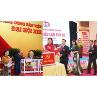 Thủ tục bầu đại biểu dự đại hội Đảng bộ cấp trên như thế nào?