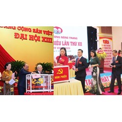Thủ tục bầu đại biểu dự đại hội Đảng bộ cấp trên như thế nào?