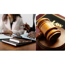 Quyền lợi cụ thể của Chuyên viên về kiểm tra văn bản quy phạm pháp luật