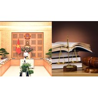 Căn cứ rà soát văn bản quy phạm pháp luật theo quy định mới