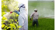 Buôn bán thuốc bảo vệ thực vật hết hạn sử dụng có được không?