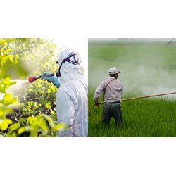 Buôn bán thuốc bảo vệ thực vật hết hạn sử dụng có được không?