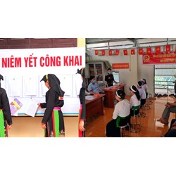 Có cấm tiết lộ thông tin về người tố cáo trong thực hiện dân chủ ở đơn vị thuộc BHXH không?
