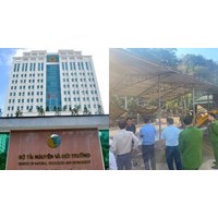 Trách nhiệm của Bộ TN&MT khi tiếp nhận, xử lý thông tin đường dây nóng về ô nhiễm môi trường