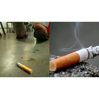 Chủ tịch UBND Tỉnh có quyền phạt người vứt tàn thuốc lá không đúng nơi quy định không?