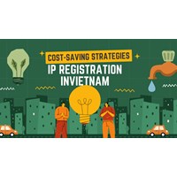 Cost-Saving IP Strategies for Vietnam (Registration & Protection)
