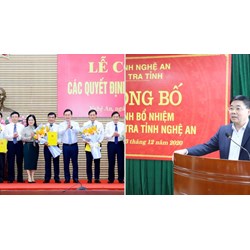 Chánh Thanh tra tỉnh Nghệ An lãnh đạo, chỉ đạo thanh tra những nội dung nào?