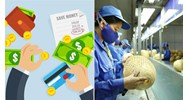 Có được miễn đóng phí công đoàn cho doanh nghiệp dưới 5 người lao động không?