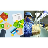 Có được miễn đóng phí công đoàn cho doanh nghiệp dưới 5 người lao động không?