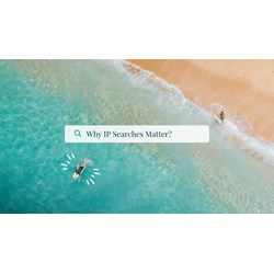 Protecting Your Product: Why IP Searches Matter