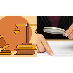 Tìm hiểu về vị trí chuyên viên cao cấp về kiểm tra văn bản quy phạm pháp luật