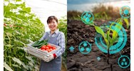 Chức năng của phòng Nông nghiệp và Phát triển nông thôn ở các huyện?