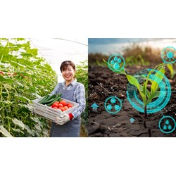 Chức năng của phòng Nông nghiệp và Phát triển nông thôn ở các huyện?