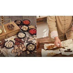 Tiêu chuẩn người chịu trách nhiệm chất lượng của cơ sở chế biến vị thuốc cổ truyền