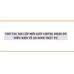 Thủ tục cấp mới Giấy chứng nhận đủ điều kiện về an ninh trật tự?
