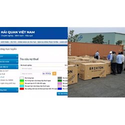 Hướng dẫn tra cứu tờ khai hải quan nộp thuế nhanh và chính xác?