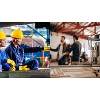 Người nước ngoài sang Việt Nam thực tập có cần giấy phép lao động?