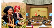 Giám sát chương trình mục tiêu quốc gia của chủ chương trình gồm nội dung gì?