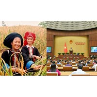 Giám sát chương trình mục tiêu quốc gia của chủ chương trình gồm nội dung gì?