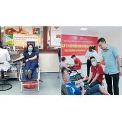 Quy định mới nhất về chức năng và nhiệm vụ của Hội đồng truyền máu