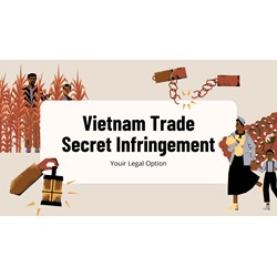 Vietnam Trade Secret Infringement: Your Legal Options