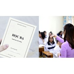 Trách nhiệm của giáo viên chủ nhiệm trong việc sử dụng mẫu học bạ THPT
