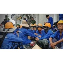 Đối tượng nào cần khám phát hiện bệnh nghề nghiệp theo quy định?