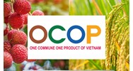 Trình tự đánh giá và phân hạng sản phẩm OCOP theo quy định?