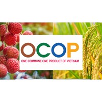 Trình tự đánh giá và phân hạng sản phẩm OCOP theo quy định?