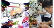 Thủ tục kiểm dịch thực vật nhập khẩu cập nhật mới nhất 2024