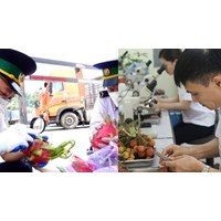 Thủ tục kiểm dịch thực vật nhập khẩu cập nhật mới nhất 2024