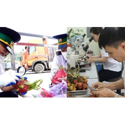 Thủ tục kiểm dịch thực vật nhập khẩu cập nhật mới nhất 2024