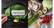 Mức thu phí trong công tác an toàn thực phẩm cập nhật mới nhất?
