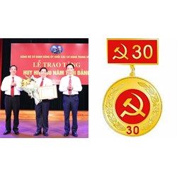 Mức tiền thưởng cho Đảng viên có Huy hiệu 30 năm tuổi Đảng?