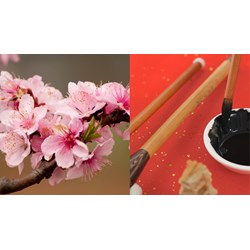 Thuyết minh về tác giả Vũ Đình Liên và tác phẩm Ông đồ siêu hay