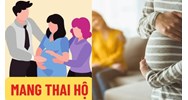 Mang thai vì mục đích thương mại khác gì với mang thai vì mục đich nhân đạo?