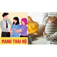 Mang thai vì mục đích thương mại khác gì với mang thai vì mục đich nhân đạo?