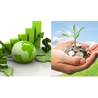 Có tính phí bảo vệ môi trường với nước thải từ cơ sở chăn nuôi gia cầm quy mô trang trại không?