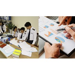 Kiểm toán nhà nước có quyền khởi kiện cộng tác viên khi vi phạm hợp đồng không?