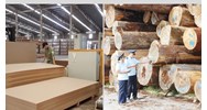 Quy định về cấp giấy phép FLEGT dành cho những loại gỗ hợp pháp thuộc phụ lục III
