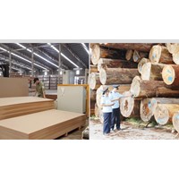 Quy định về cấp giấy phép FLEGT dành cho những loại gỗ hợp pháp thuộc phụ lục III