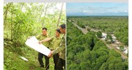 Diện tích đất nào thuộc rừng phòng hộ chắn gió được phép sản xuất nông nghiệp?