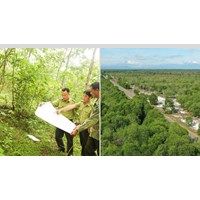 Diện tích đất nào thuộc rừng phòng hộ chắn gió được phép sản xuất nông nghiệp?