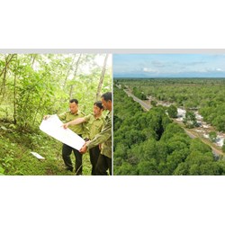 Diện tích đất nào thuộc rừng phòng hộ chắn gió được phép sản xuất nông nghiệp?