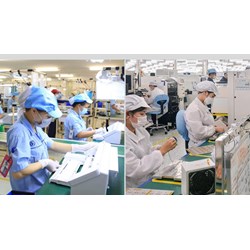 Độ tuổi tối đa mà người lao động có thể tiếp tục làm việc theo hợp đồng lao động