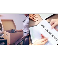 Có được quyền nghỉ việc khi chưa hết hạn hợp đồng hay không?